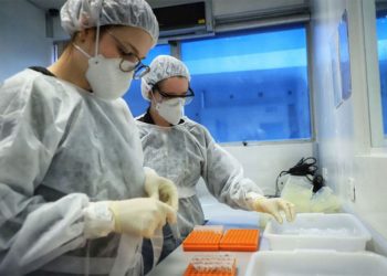 Salta es la primera jurisdicción en adquirir la vacuna contra el dengue: buscan inmunizar a 150 mil personas