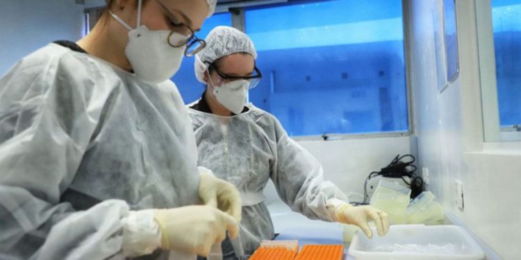 Salta es la primera jurisdicción en adquirir la vacuna contra el dengue: buscan inmunizar a 150 mil personas
