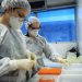 Salta es la primera jurisdicción en adquirir la vacuna contra el dengue: buscan inmunizar a 150 mil personas