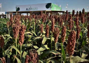 Tecnología e innovación, al grano