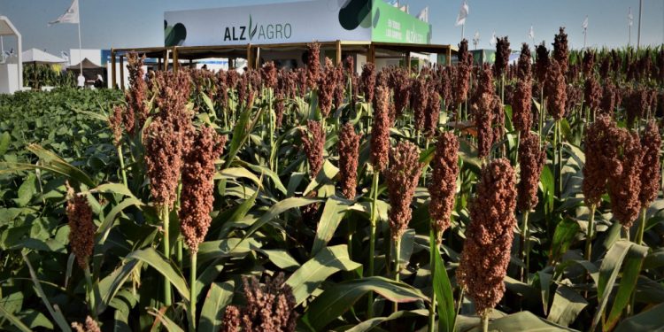Tecnología e innovación, al grano