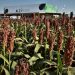 Tecnología e innovación, al grano