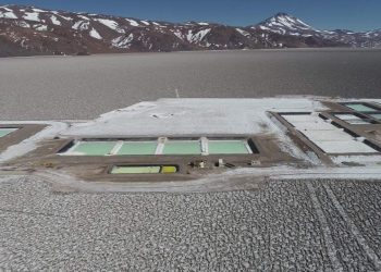 Advierten que Javier Milei quiere extranjerizar el litio y proponen la creación de una empresa federal