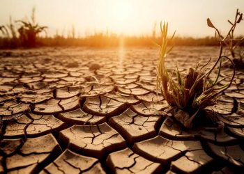 Anuncian inversión de US$ 15.000 millones contra el cambio climático hasta 2030