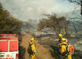 Combo explosivo: junto a la derogación de la de Tierras, ¿cambian la Ley de Manejo del Fuego?