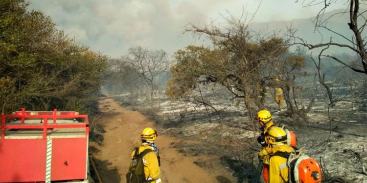 Combo explosivo: junto a la derogación de la de Tierras, ¿cambian la Ley de Manejo del Fuego?