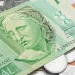 ¿Cómo cotizó el real brasileño contra el peso a lo largo del año?