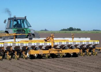 Con perfiles recargados, avanza con fuerza la siembra gruesa