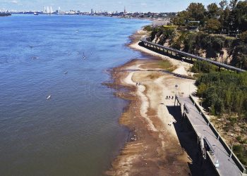 Condenaron en Rosario a ocho narcos que intentaron traficar cocaína a España