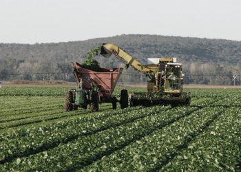 El Consejo Agroindustrial rechazó la suba de retenciones propuesta por el Gobierno