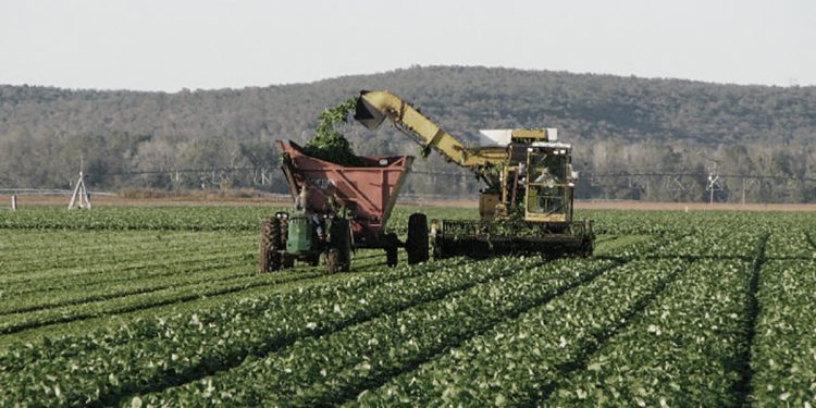 El Consejo Agroindustrial rechazó la suba de retenciones propuesta por el Gobierno