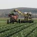 El Consejo Agroindustrial rechazó la suba de retenciones propuesta por el Gobierno