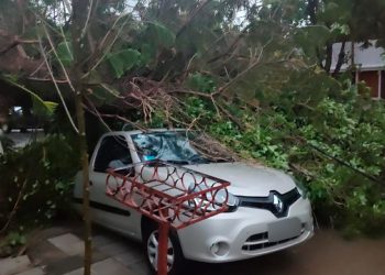 El Gobierno nacional monitorea con la provincia y el municipio el temporal en Bahía Blanca