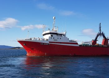 La actividad pesquera creció un 17,2% interanual durante octubre