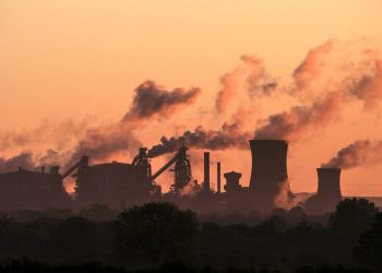 Lanzan la primera Bolsa Argentina para el Mercado de Carbono