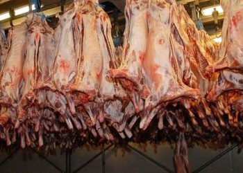 Las exportaciones de carne cerrarán 2023 con ventas por alrededor de u$s 2.600M
