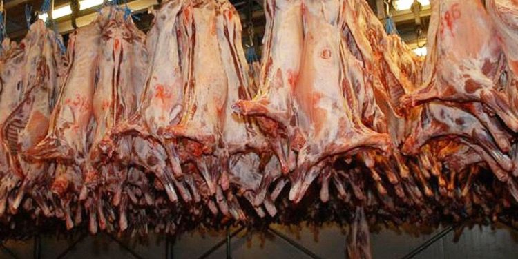 Las exportaciones de carne cerrarán 2023 con ventas por alrededor de u$s 2.600M