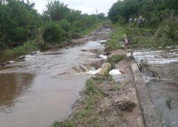 Los motivos que llevaron a un tambero entrerriano a tirar 12.000 litros de leche