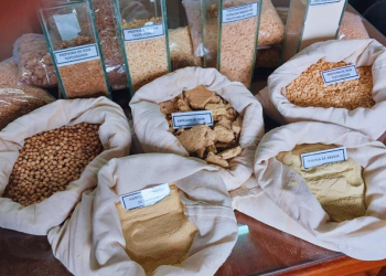 Presentaron un clúster para la exportación de proteínas vegetales con alto valor agregado