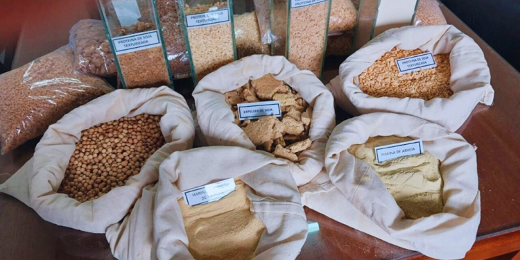 Presentaron un clúster para la exportación de proteínas vegetales con alto valor agregado