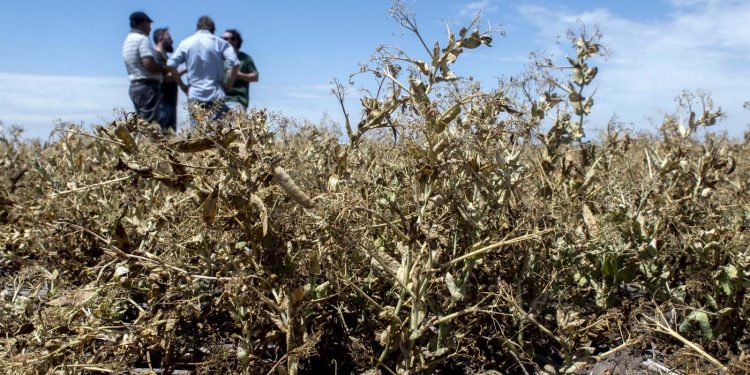 Pronostican que el PIB habrá caído un 2% en 2023, aunque con marcada disparidad sectorial