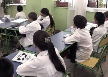 Pruebas Aprender: mejora en Lengua, leve caída en Matemática y menos brecha entre sectores socioeconómicos