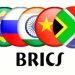 Qué son los BRICS y qué rol juegan en la economía mundial