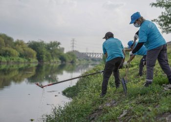 Una nueva audiencia pública por el saneamiento del Riachuelo: ¿Es posible la reinserción de biodiversidad en la Cuenca?