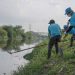 Una nueva audiencia pública por el saneamiento del Riachuelo: ¿Es posible la reinserción de biodiversidad en la Cuenca?
