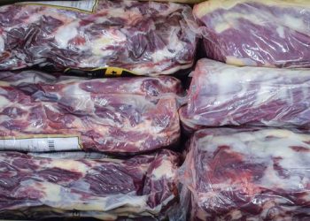 Bolivia y Brasil aumentarán sus envíos de carne vacuna a China