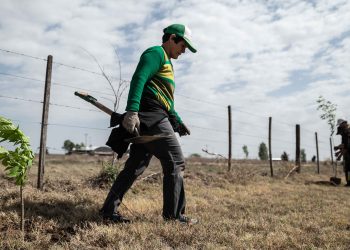 Buscan optimizar las prácticas forestales y atraer nuevas inversiones al sector