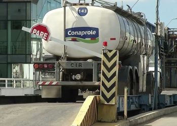 ¿Cuáles fueron las empresas uruguayas que más exportaron durante 2023?