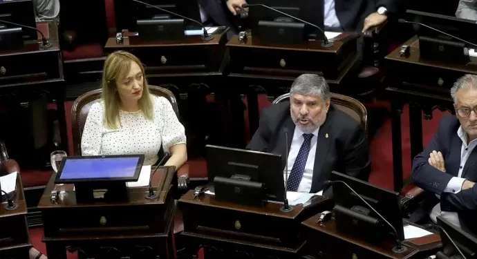 DNU: senadores del peronismo y del radicalismo rechazaron reformas de Milei