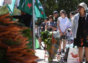 Economistas analizan el modelo Milei, la inflación y su impacto en los ingresos