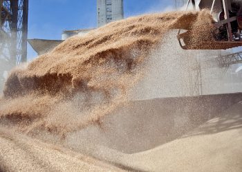 El Gobierno aspira a duplicar las exportaciones del agro para eliminar retenciones