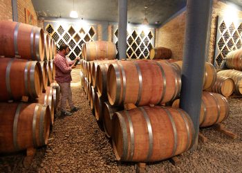 El sector vitivinícola reclamó no pagar las retenciones introducidas en la Ley ómnibus