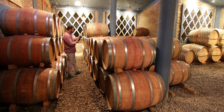 El sector vitivinícola reclamó no pagar las retenciones introducidas en la Ley ómnibus