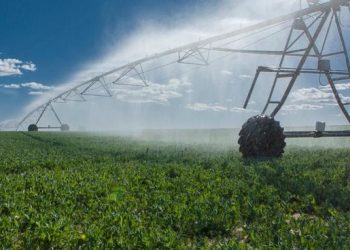 El senador Da Silva propone un “shock de riego” que podría aportar hasta 4 puntos del PBI