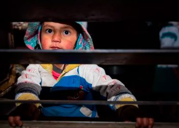 En los últimos cuatro años, las muertes de menores en Ecuador aumentaron un 640%