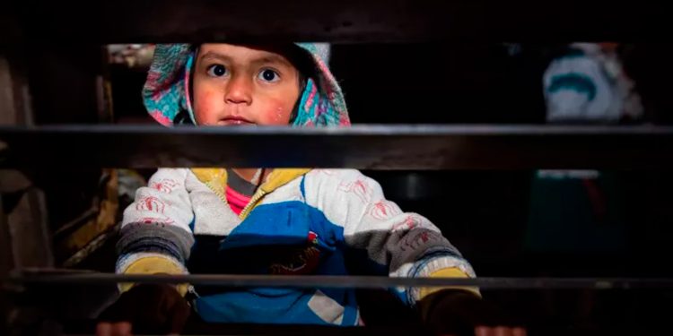 En los últimos cuatro años, las muertes de menores en Ecuador aumentaron un 640%