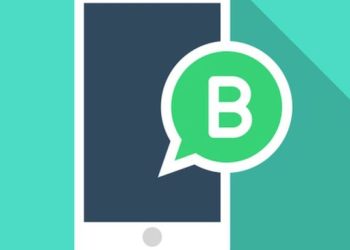 Especial para emprendedores: cómo obtener la verificación en WhatsApp Business
