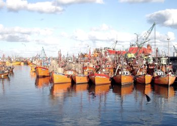 Gobernadores patagónicos rechazaron los cambios en la actividad pesquera