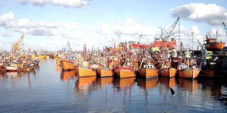 Gobernadores patagónicos rechazaron los cambios en la actividad pesquera