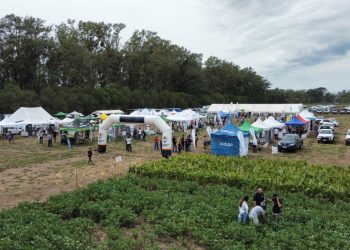 ¿Hace falta receta agronómica para recomendar y aplicar biológicos?