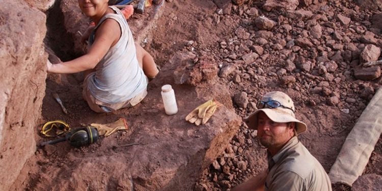 Hallan en Neuquén uno de los últimos dinosaurios de cuello largo y pico de pato