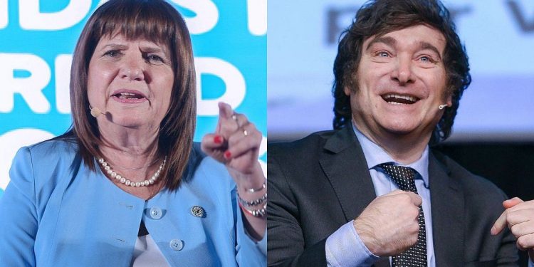 Javier Milei felicitó a Patricia Bullrich por encarcelar a un conductor que atropelló y mató a un perro