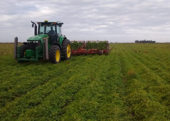 La Cámara Argentina del Maní avaló la postura cordobesa contra las retenciones