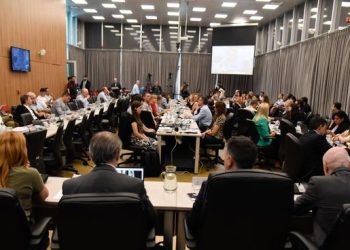 La ONU pide participar del debate por la ley ómnibus: extendería posibilidad de dictamen