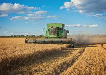 La Unión Europea admite otra traba para acordar con el Mercosur: ¿cómo afecta a Uruguay?