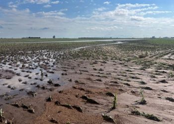Lluvias y mucho viento, la postal del fin de semana
